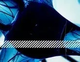 rs=w_1280 (5)